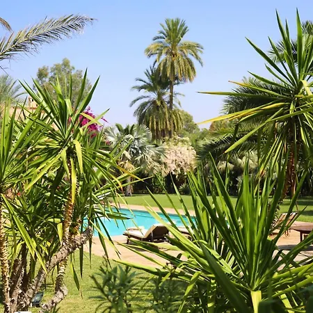 Villa Le Perroquet Bleu-3